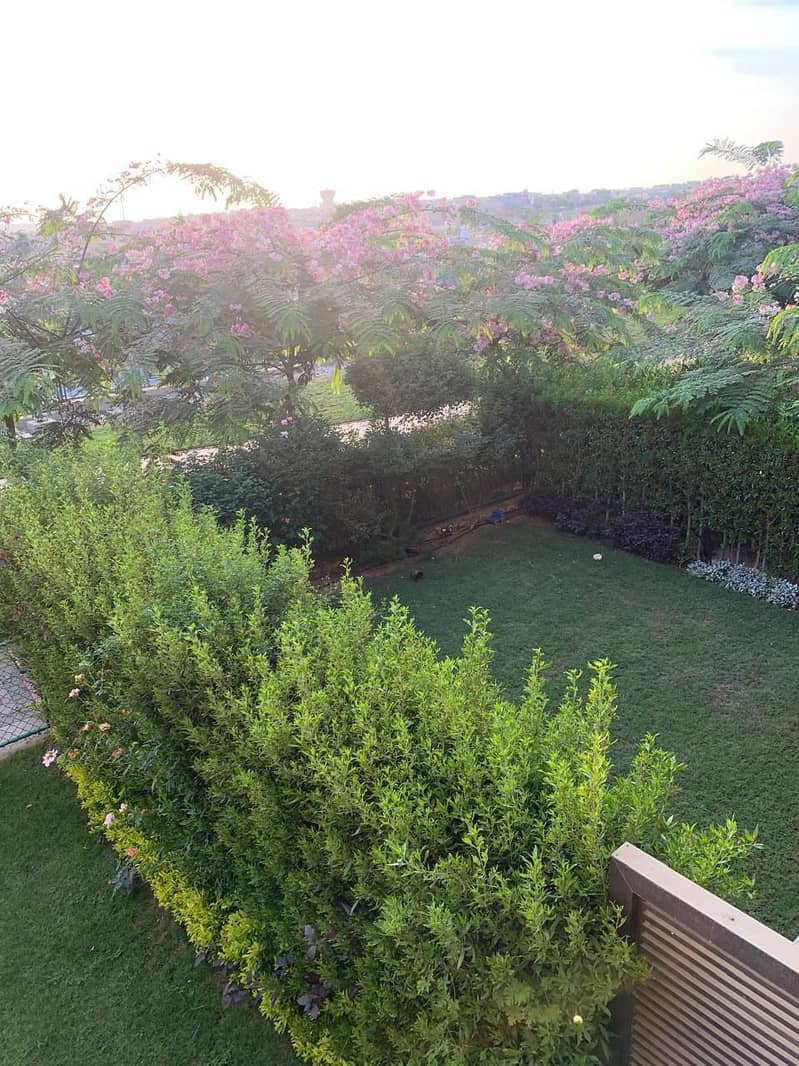 5 WhatsApp Image 2025-09-27 at 12.05. 01 AM. jpeg