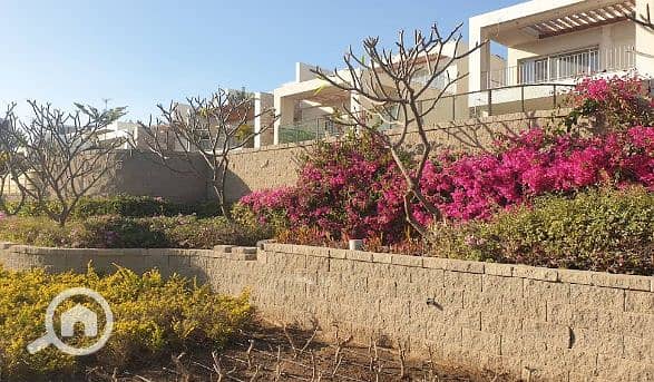 5 Screenshot 2025-07-07 163719. png