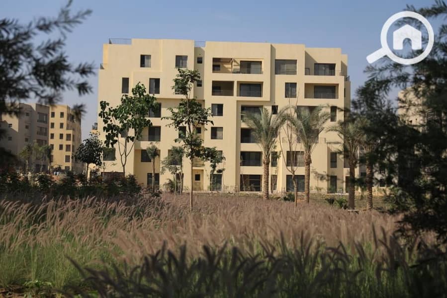 2 WhatsApp Image 2025-08-20 at 5.58. 52 PM (1). jpeg