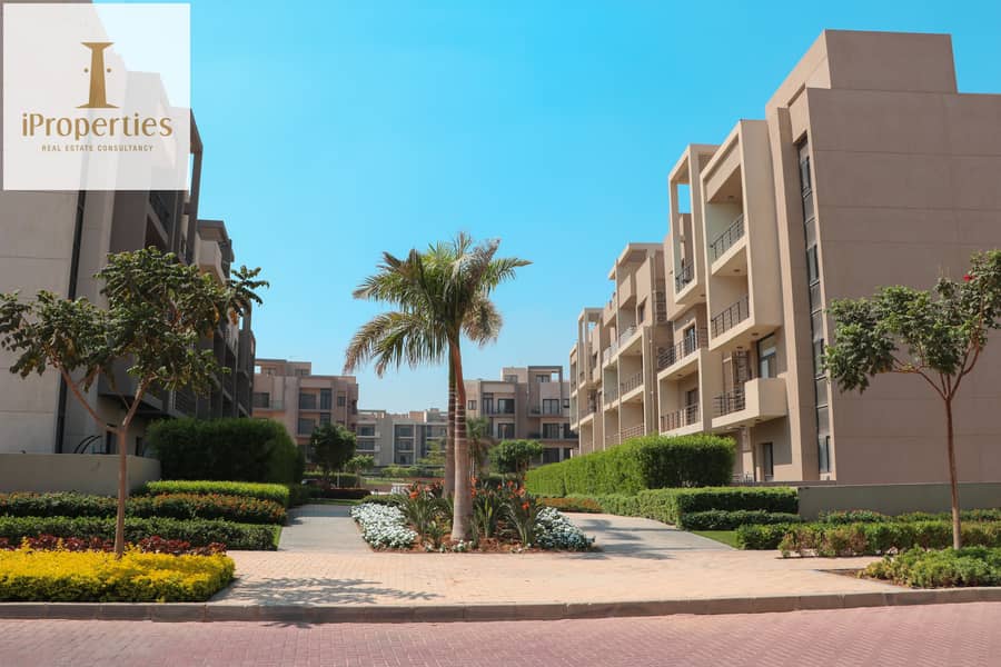 11 IMG_5291 copy. jpg