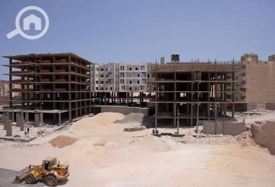 6 7901535-5bbd9o. jpg