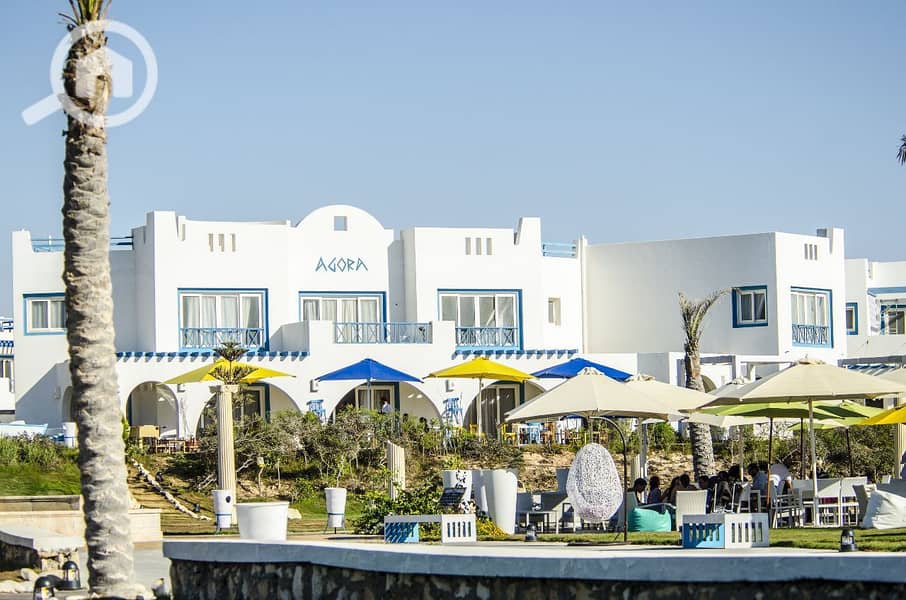 3 WhatsApp Image 2024-05-30 at 15.34. 40_d5f99386. jpg