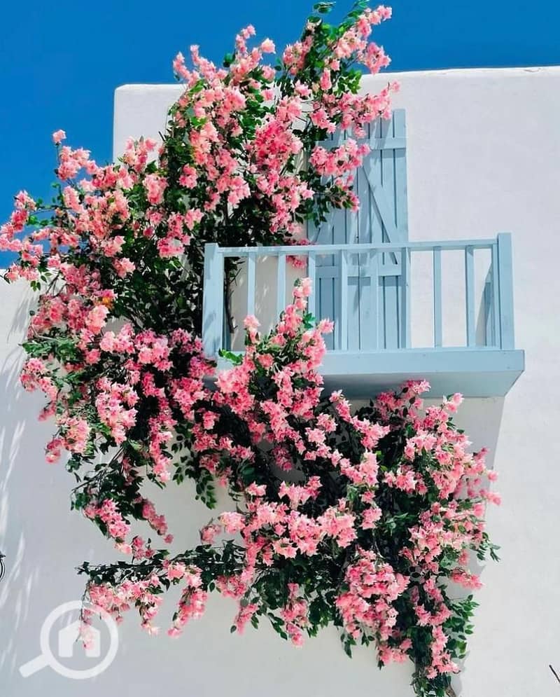 9 WhatsApp Image 2024-05-30 at 15.37. 35_f5fc672a. jpg