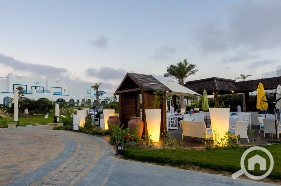 10 WhatsApp Image 2024-05-30 at 15.37. 36_6b3914c0. jpg