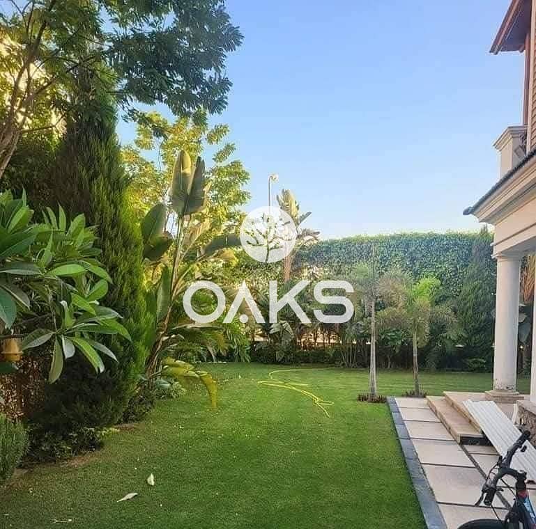 4 WhatsApp Image 2025-10-13 at 4.17. 43 PM (2). jpeg