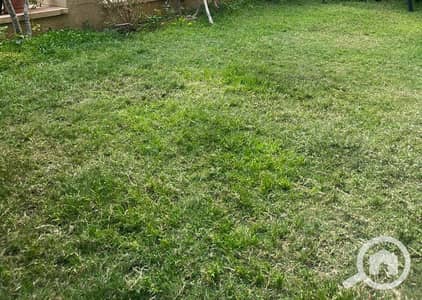 استوديو  للايجار في القاهرة الجديدة، القاهرة - 1. jpeg