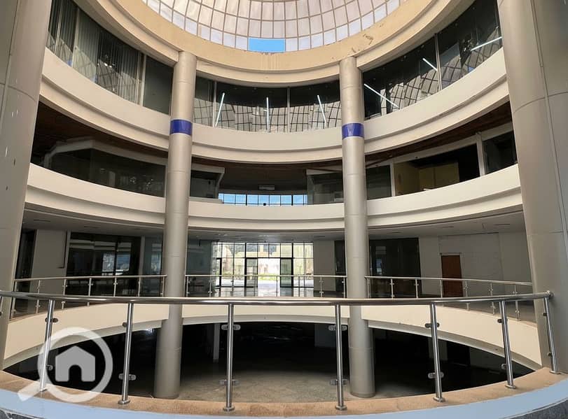 8 Generated Image September 23, 2025 - 2_06PM. png