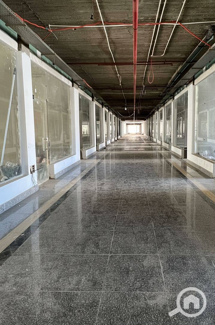 6 Generated Image September 15, 2025 - 2_26PM. png