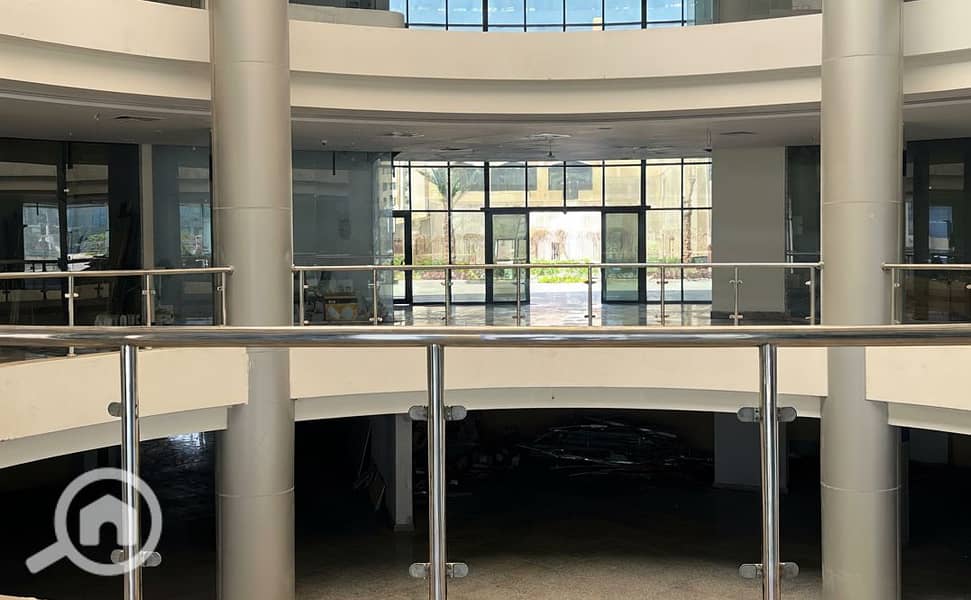 8 Generated Image September 23, 2025 - 1_55PM. png