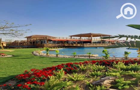 2 Bedroom Flat for Rent in New Cairo, Cairo - dc4f24dd-12cd-4f55-abaa-078a5e699a1c. jpg