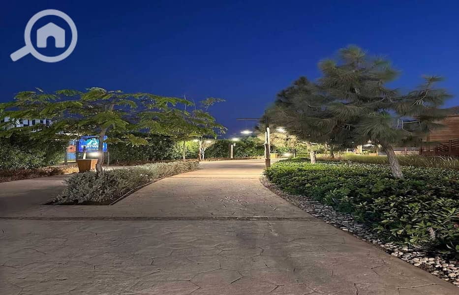 2 6914ed86-f4b5-4b4f-b568-2a4f78c13abd. jpg