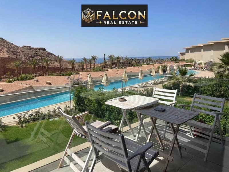 4 464969824_122175745574170009_828570473379733380_n. jpg