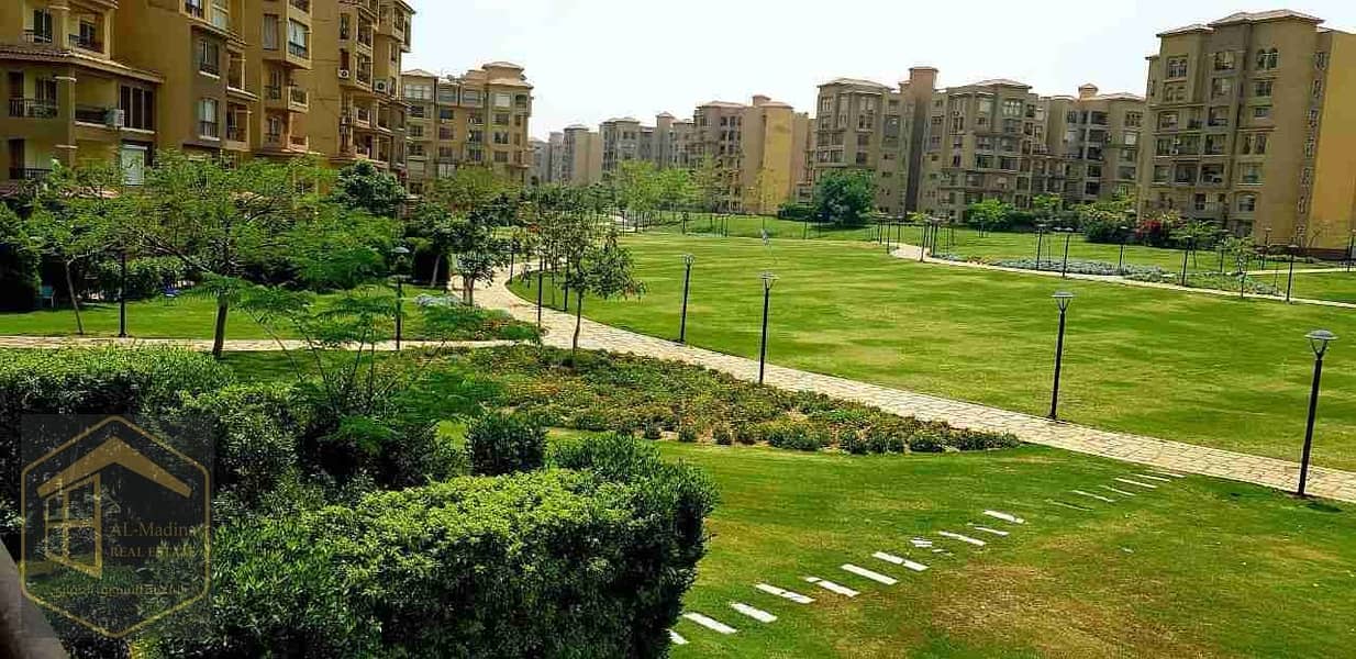 4 IMG-20251110-WA0009. jpg