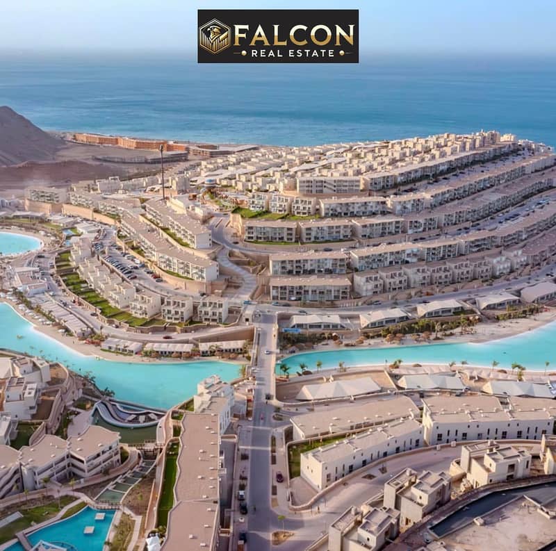 7 464312734_2689685351203564_3599297127607865728_n. jpg