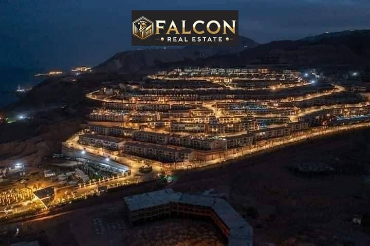 11 464580073_122123472896485951_4811060698244862575_n. jpg