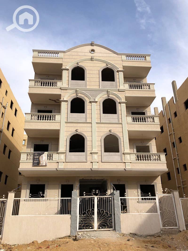 5906985977115691753. jpg