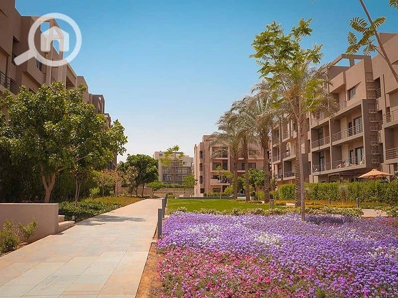 6 396029858_6675433472542110_1025901986593293070_n. jpg