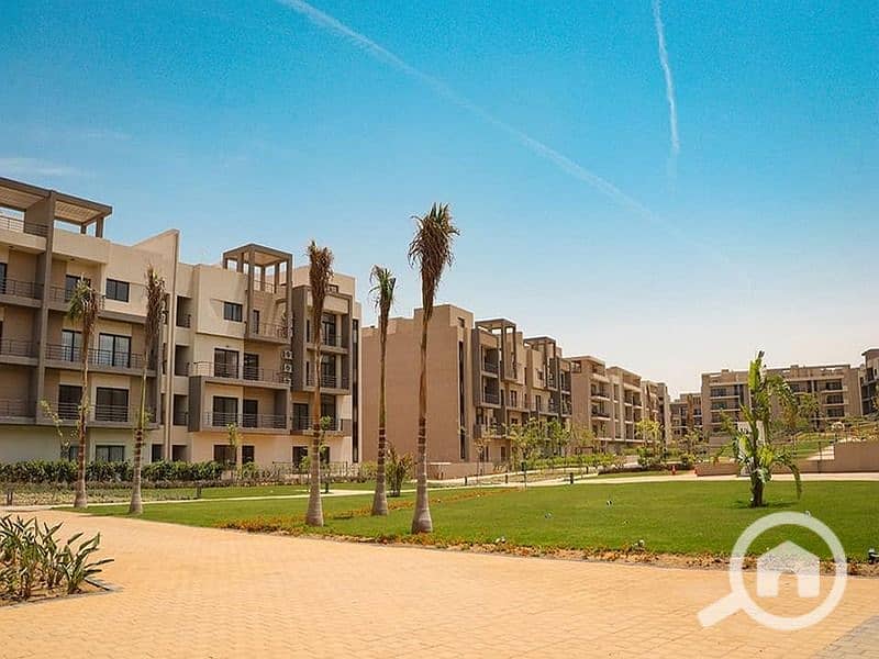 8 421387683_987633886119105_8126177066647533662_n. jpg