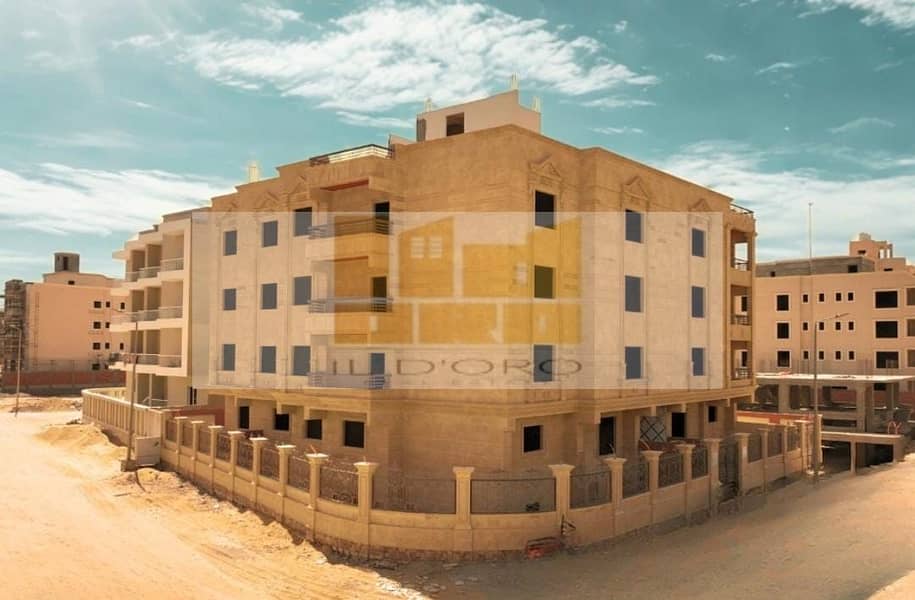 WhatsApp Image 2025-11-12 at 4.20. 26 PM. jpeg