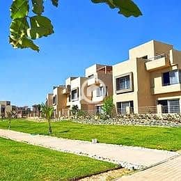 4 579404922_1163126739114424_4727146283763889564_n. jpg