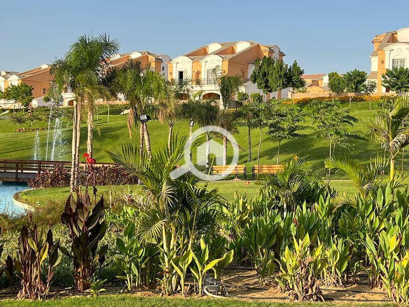 9 5d1a0a7d-6c57-41c2-92fe-576b5b8be2c9. jpg