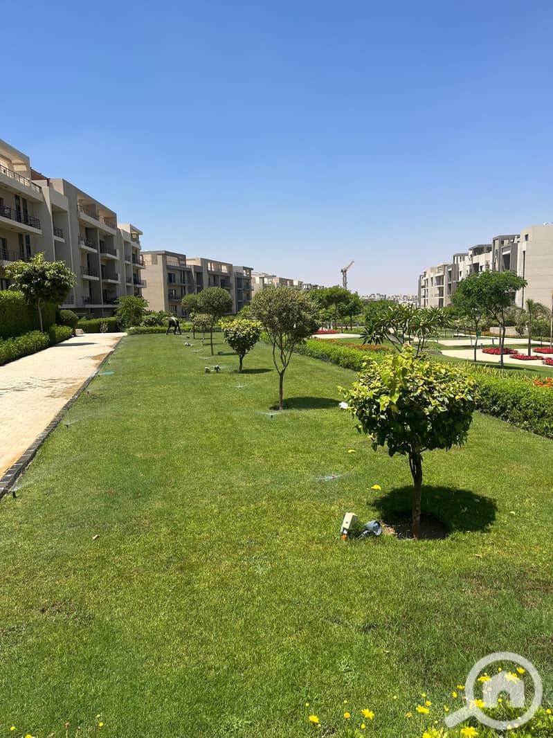 4 297021ea-7242-498e-bf7f-202463464181. jpg