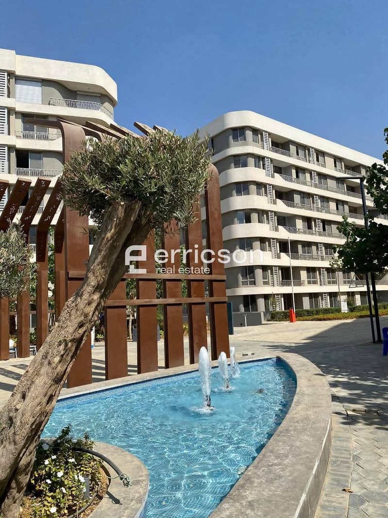 5 576995782_2271406390026506_4526393214253984841_n. jpg