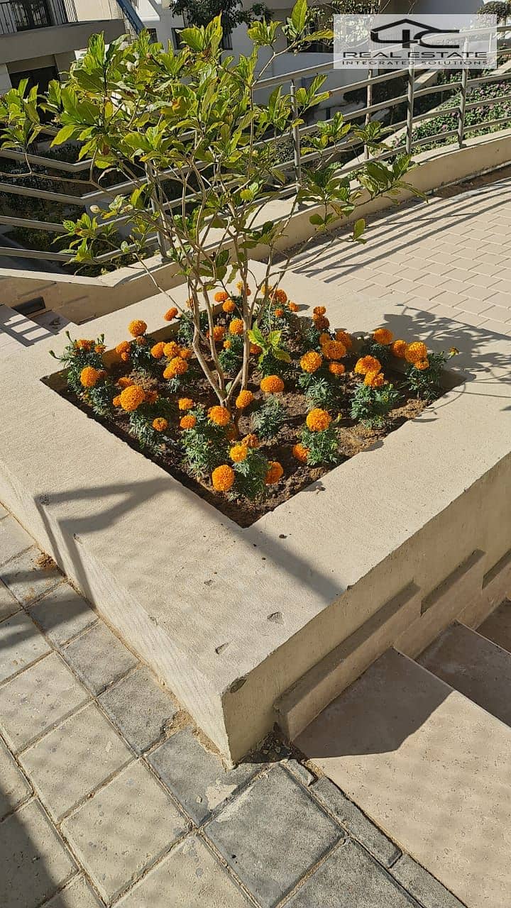 10 WhatsApp Image 2025-11-12 at 16.52. 35. jpeg