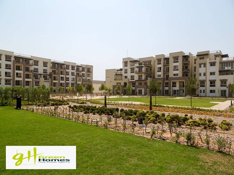 4 20180409UTCCUexport-27. jpg