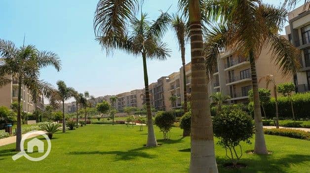 3 Screenshot 2025-08-28 171502. jpg