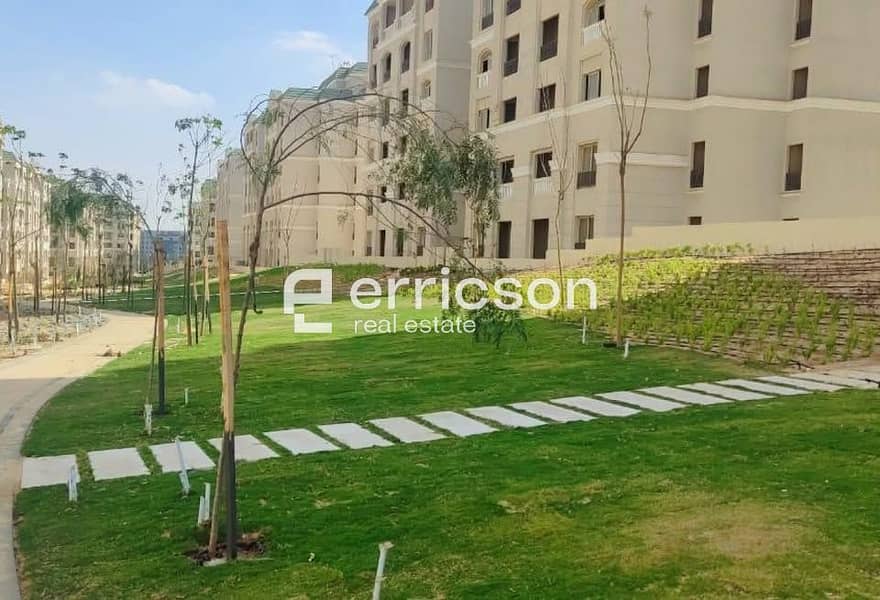 12 581533506_2825544694322026_6368642284830655194_n. jpg