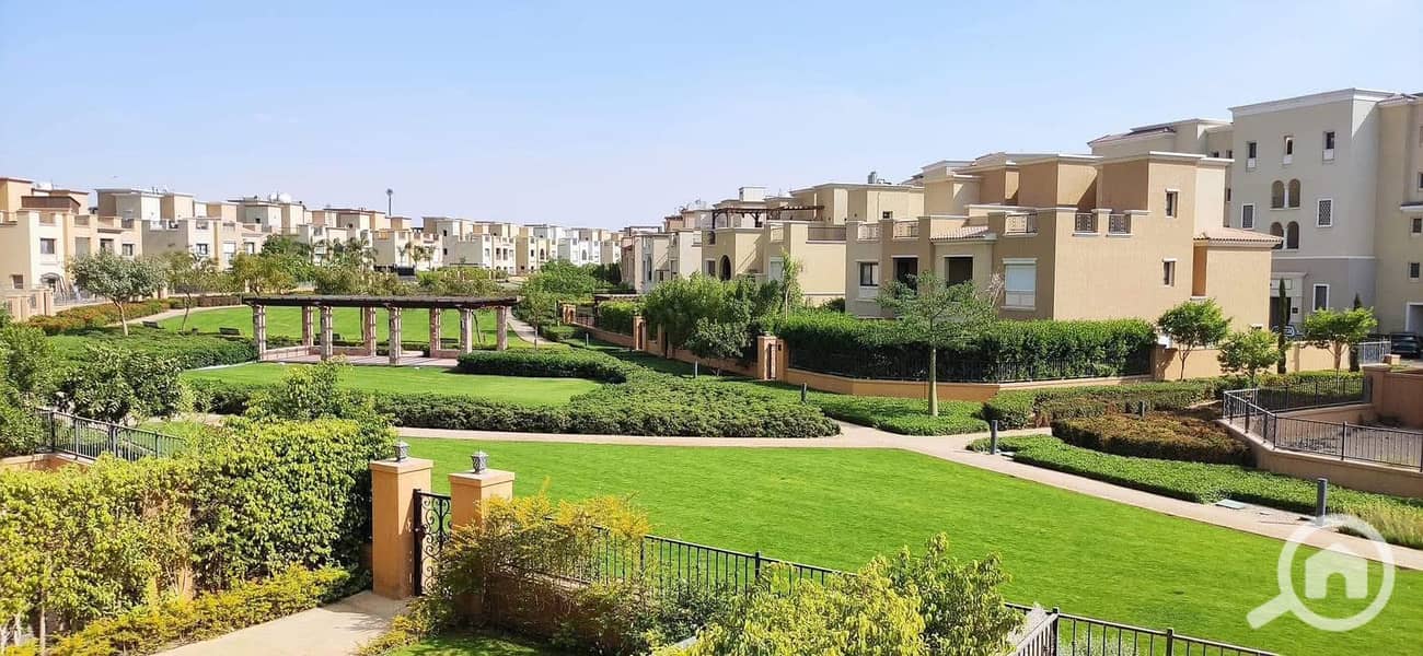 5 WhatsApp Image 2025-10-06 at 3.15. 43 AM (1) - Copy. jpeg