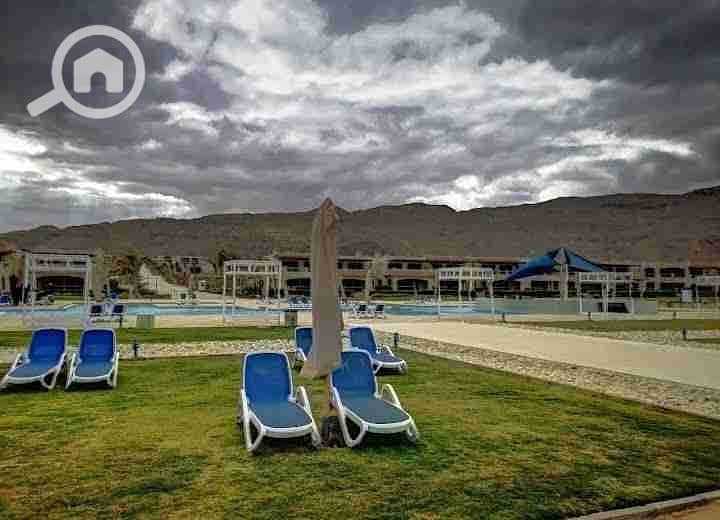 1000680084. jpg 1000680084. jpg