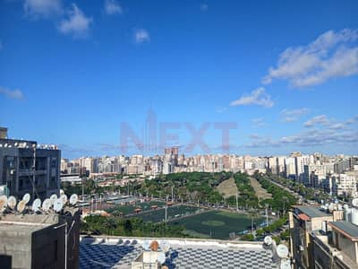 3 Bedroom Apartment for Sale in Sporting, Alexandria - IMG-20251111-WA0069. jpg 3 Bedroom Apartment for Sale in Sporting, Alexandria - IMG-20251111-WA0069. jpg