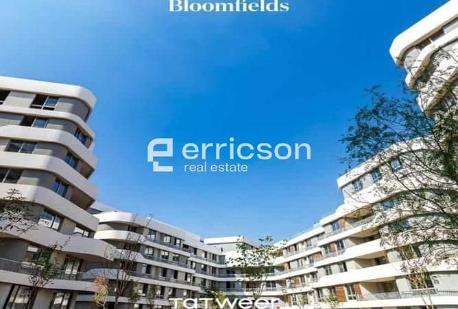 6 4684645-36eedo. jpg