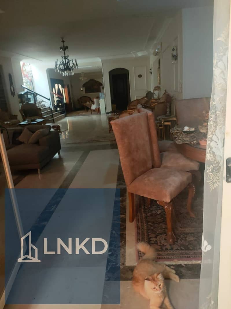 13 IMG-20251108-WA0003. jpg