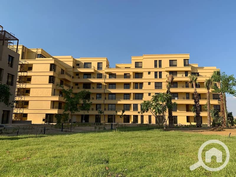 6 photo_63_2025-02-12_13-53-10. jpg