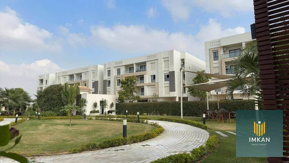 12 500784271_1033352765054769_1269985035861976273_n. jpg