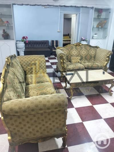 3 Bedroom Apartment for Rent in Sidi Beshr, Alexandria - WhatsApp Image 2025-11-12 at 12.02. 09 PM (1). jpeg