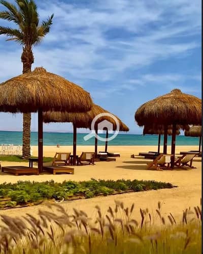 شاليه 2 غرفة نوم للبيع في العين السخنة، السويس - IMG-20251112-WA0137. jpg