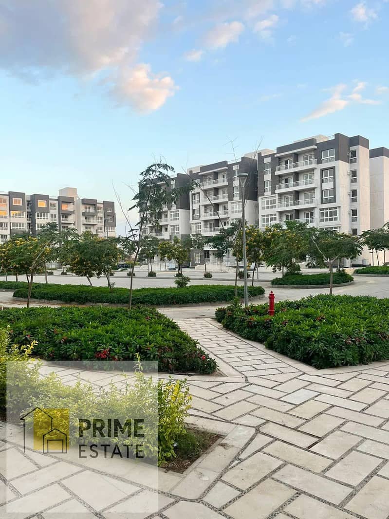 WhatsApp Image 2025-07-23 at 19.00. 27_be031e82. jpg