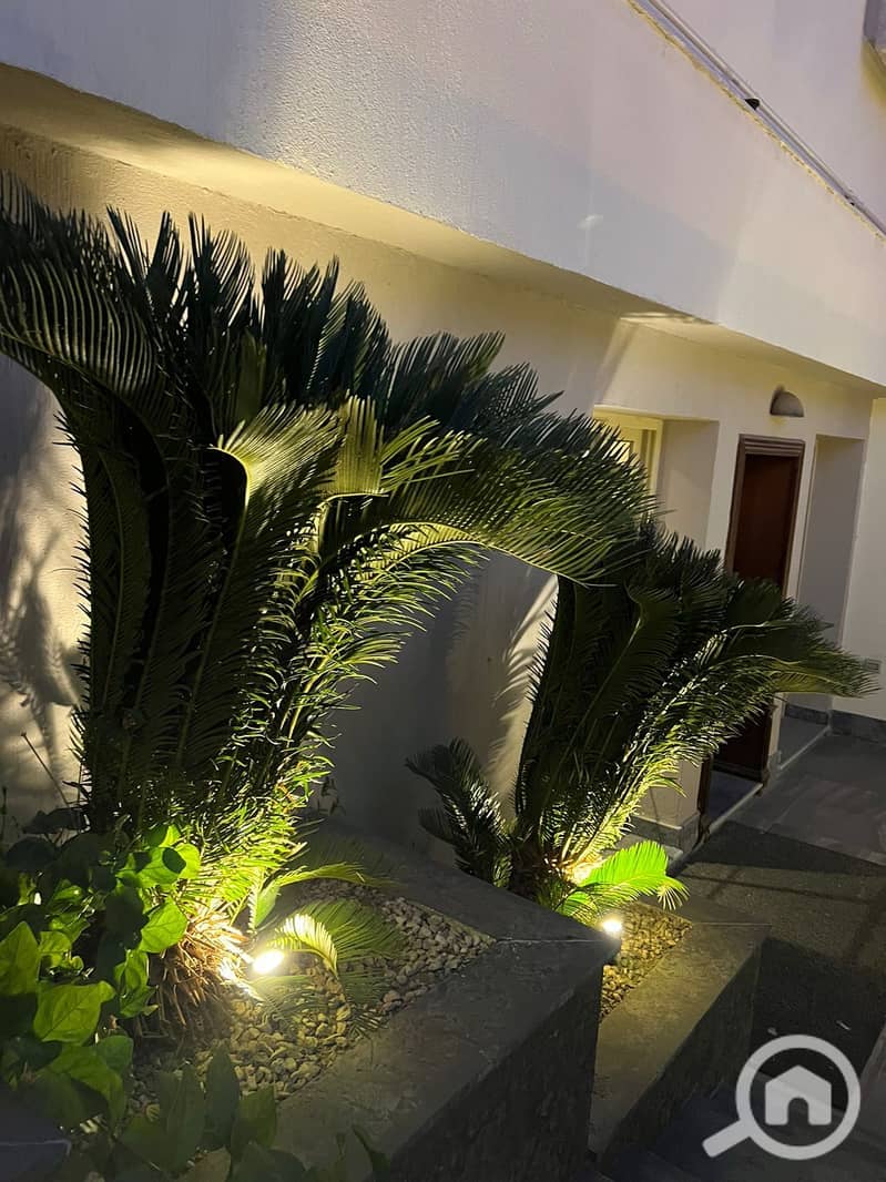 12 WhatsApp Image 2025-11-12 at 4.39. 16 PM (1). jpeg