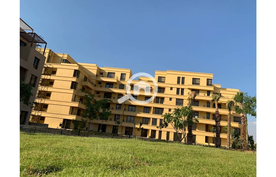 6 photo_33_2025-02-12_13-53-10. jpg