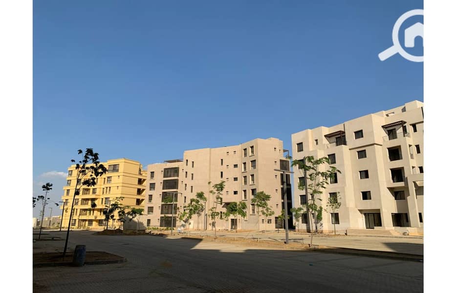 2 photo_4_2025-02-12_13-53-10. jpg