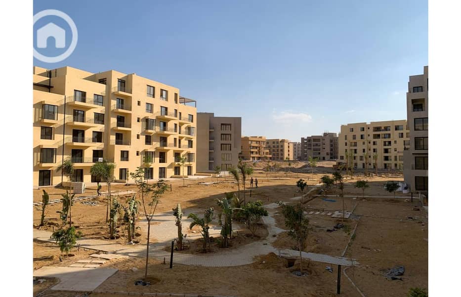 3 photo_5_2025-02-12_13-53-10. jpg