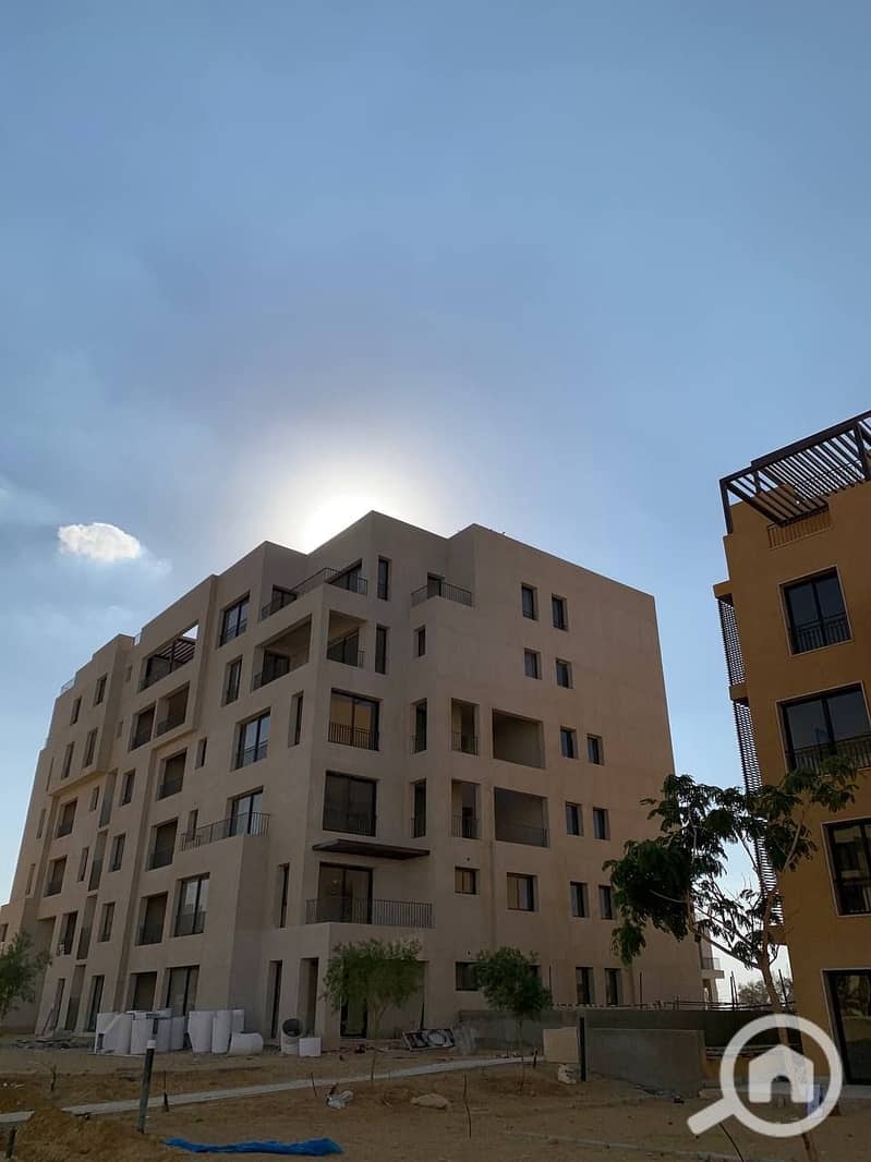 photo_16_2025-02-12_13-53-10. jpg