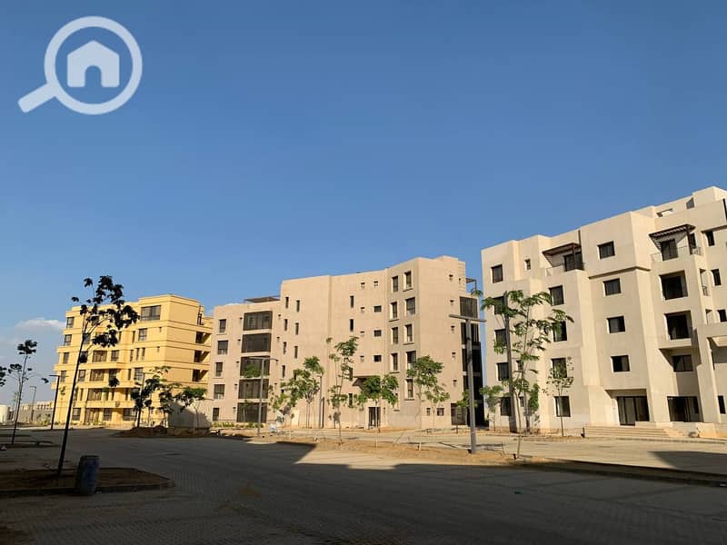 3 photo_4_2025-02-12_13-53-10. jpg