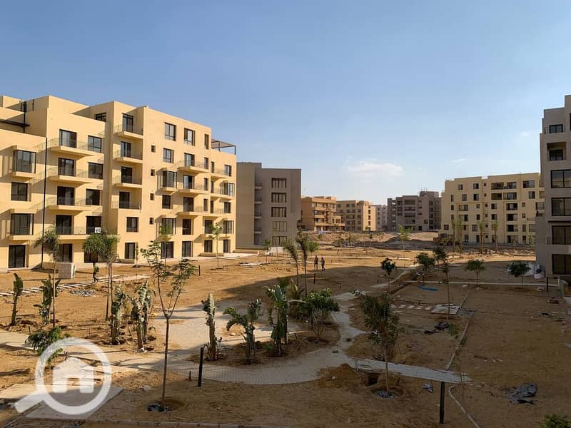 4 photo_5_2025-02-12_13-53-10. jpg