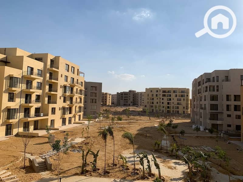 11 photo_31_2025-02-12_13-53-10. jpg