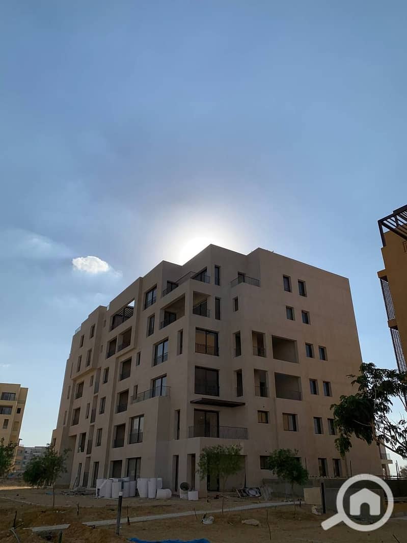 12 photo_37_2025-02-12_13-53-10. jpg